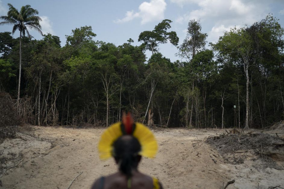 MILIONI DOLARA ZAPLENJENJI OD KRIMINALA ZA SPAS AMAZONIJE: Novac oduzet naftnoj komapniji zbog korupcije
