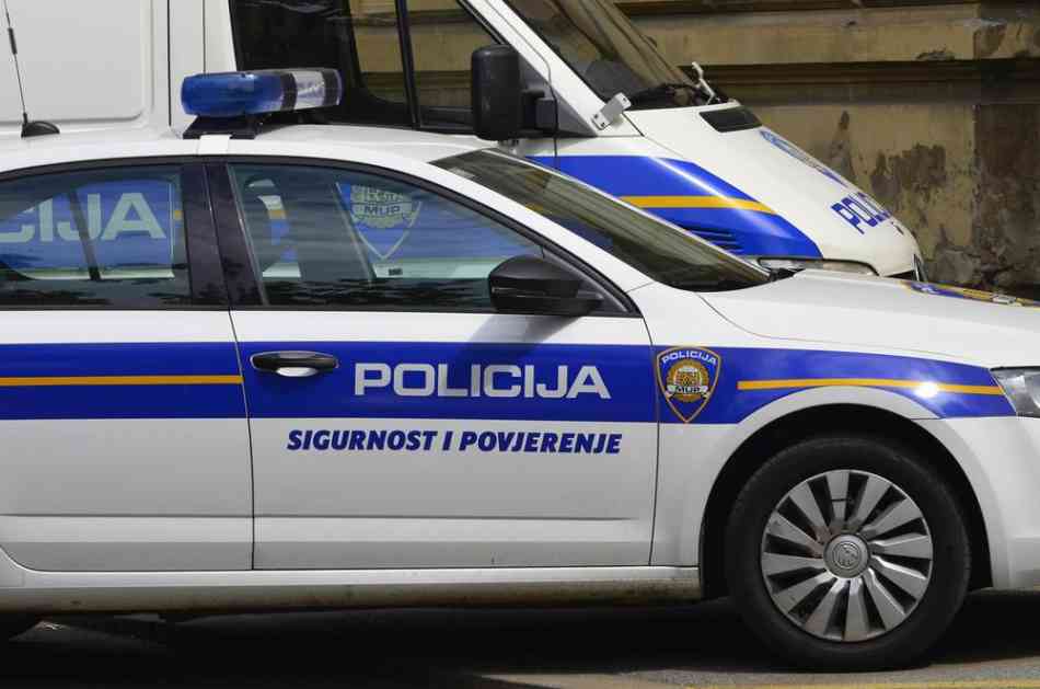 MISTERIOZNA BLOKADA AUTO-PUTA KOD KARLOVCA: Policija kontroliše sva vozila, na terenu i službeni psi!