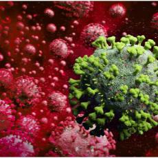 MRAČNE PROGNOZE AMERIČKIH STRUČNJAKA: Vlada velika zabrinutost zbog korona virusa OVO JE TEK POČETAK