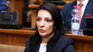 MUP: Prijava protiv muškarca koji je u Pančevu vređao Mariniku Tepić i njenu majku