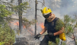 MUP: Zapadna strana požara kod Nove Varoši pod kontrolom