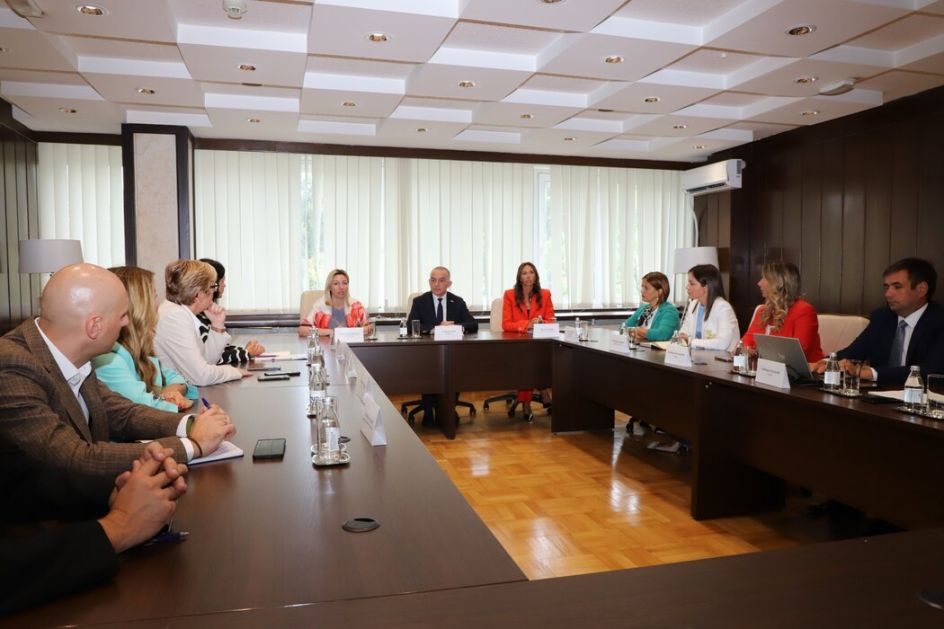 Macura: U fokusu Radne grupe biće procena rizika nasilja u porodici