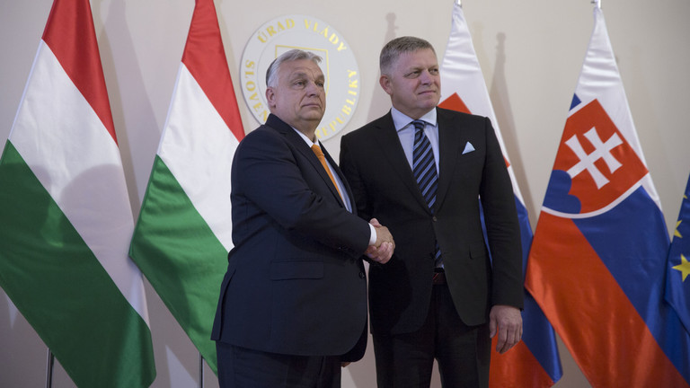 Mađarska traži antiukrajinski savez – savetnik Orbana