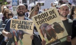 Madrid: Protest protiv borbi bikova