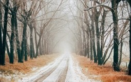 
					Magla, sneg i led usporavaju saobraćaj na putevima u Srbiji 
					
									
