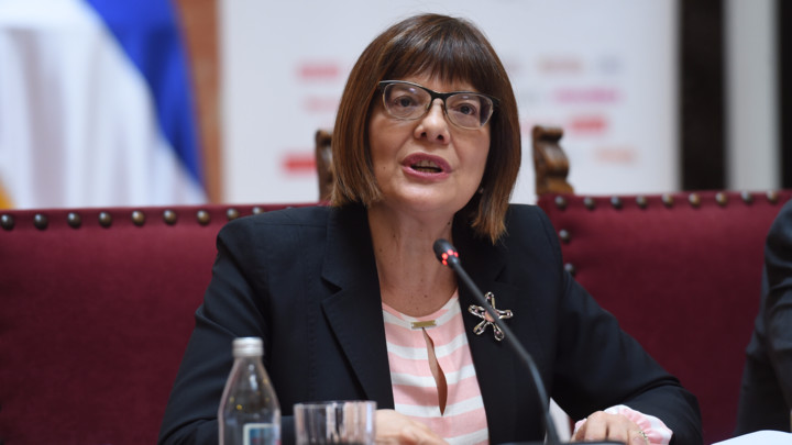 Maja Gojković: Važne odluke razlog za raspisivanje izbora