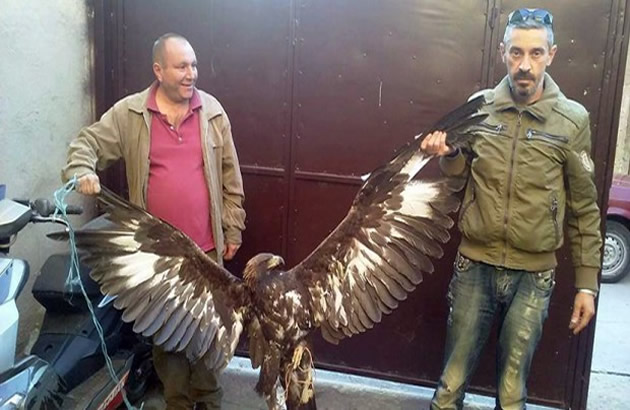Makedonci su se na Fejsbuku pohvalili da su ulovili zlatnog surog orla. Umesto divljenja dobili su krivicnu prijavu (FOTO)