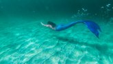 Mala Sirena i fotografije: Zaronite u dubine morskog sveta