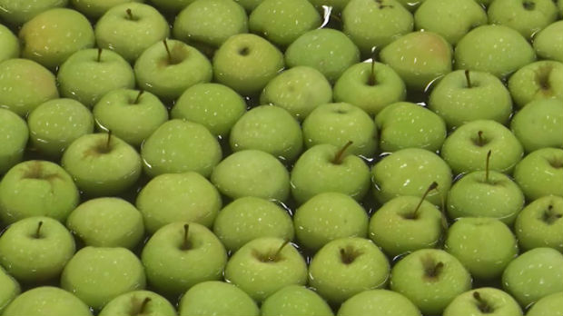 Mali proizvođači jabuka gube trku na tržištu