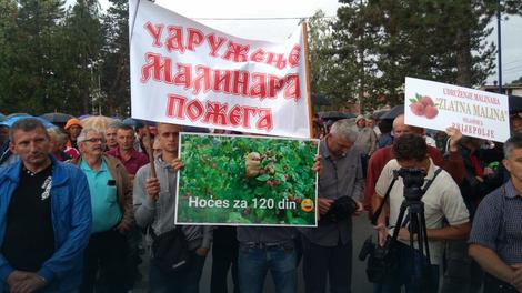 Malinari protestovali u Ivanjici: Prevarli su nas izvoznici i vlasnici hladnjača