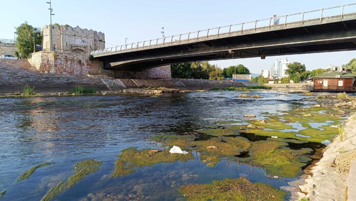 Manje reke na jugu presušile, pritoke Južne Morave blizu biološkog minuma – ugrožene ribe i biljni svet