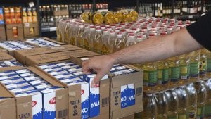 „Manji proizvođači nemaju šanse“: Kakva sudbina čeka mlekare uz niske otkupne cene i podizanje zahtevanog kvaliteta?