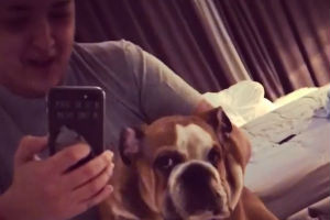 Marija objavila URNEBESAN video sa svojim psom i poručila: Ne brinite sa mnom je sve uredu!