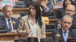 Marinika Tepić Stojanu Radenoviću: Iskreno sam zabrinuta za vas