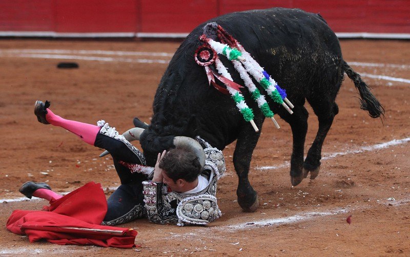 Matadori na Las Ventasu, borbe s bikovima pred hiljadama Španaca