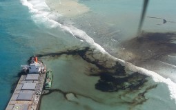 
					Mauricijus: Uhapšen kapetan broda koji se nasukao i more zagadio mazutom 
					
									