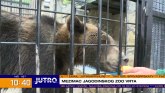 Meda mezimac jagodinskog Zoološkog vrta VIDEO