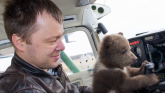 Medved koji živi na aerodromu: Kampanja za sakupljanje novca za ruskog medveda - pilota