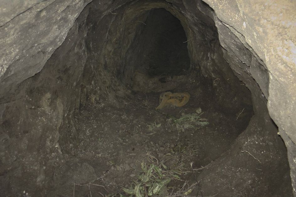 Meksiko: Vojska otkrila tunel za ilegalni prelazak u SAD