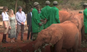 Melaniju Tramp odgurnuo slon, a posle prvobitnog šoka, njena reakcija sve je iznenadila (VIDEO)