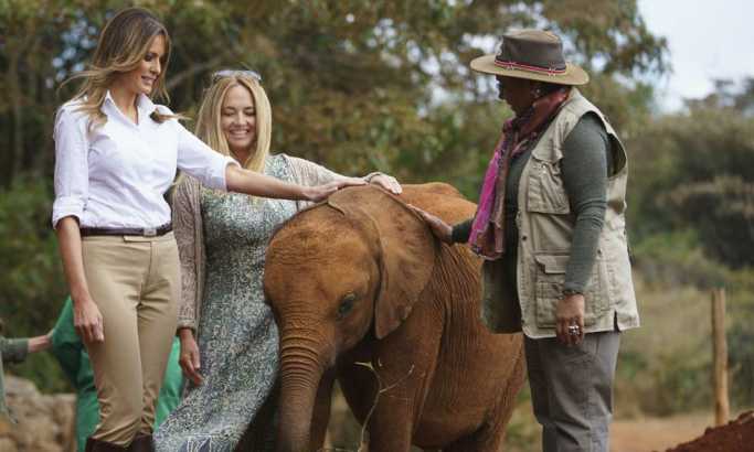 Melaniju odgurnulo mladunče slona (VIDEO)