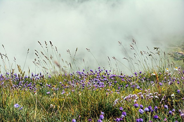 Meteorolozi najavljuju promenljivo, nestabilno i malo svežije