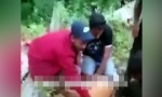 Migranti zaklali lane u šumi, snimak objavili na društvenim mrežama (UZNEMIRUJUĆI VIDEO)