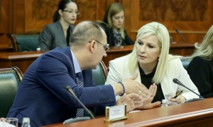 Mihajlović predložila: Sledeći avion Er Srbije da nosi ime Zdravka Čolića