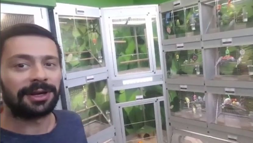 Milan Vasić ušao u sobu punu papagaja koji su galamili, a onda ih je jednim potezom ućutkao (VIDEO)