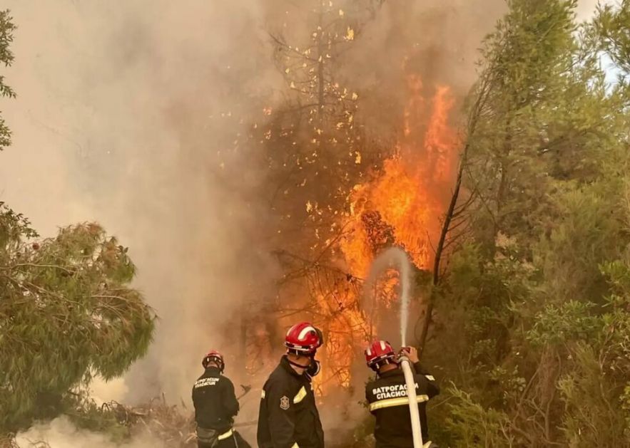 Milenković: Građani da pokušaju sami da ugase požar ili da pozovu vatrogasce