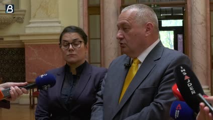 Milivojević (DS): Delegacija iz EU zaprepašćena onim što je videla ispred parlamenta