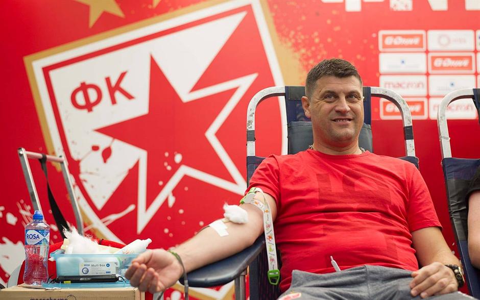 Milojević dao krv pa poručio: Bez Pavkova i još nekih