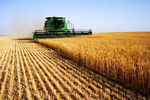 Ministarstvo poljoprivrede: Podsticaji u prosjeku 487 KM po hektaru