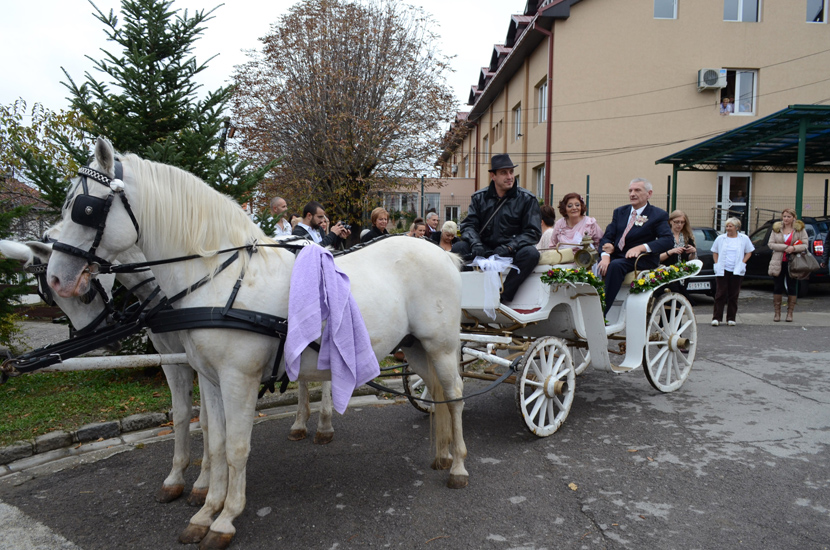 Miodrag (56) i Miroslava (67) su prvi put stali na ludi kamen u staračkom domu: Ovako su im danas čestitali Mladence! (FOTO)