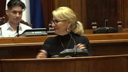 Miščević: Oba Doma debate doprinela tome da se razjasni uticaj društvenih mreža na mlade