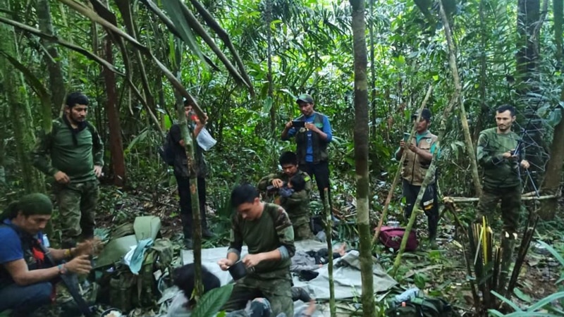 Mjesec dana od avionske nesreće, četvero djece pronađeno živo u džungli u Kolumbiji