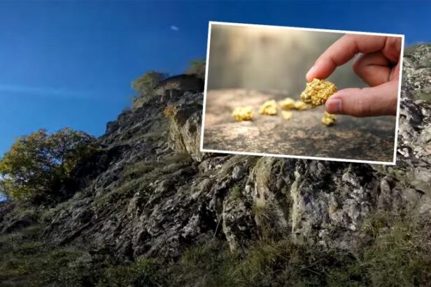 Mještani Trnave pozivaju na skup protiv rudnika na Rogozni