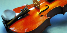 Mlada talentovana violinistikinja iz N.Sada