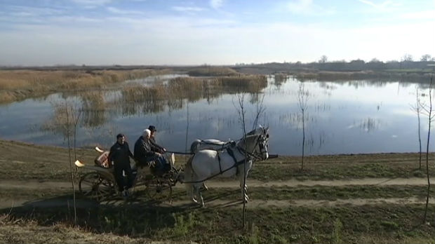 Mladi nastavljaju tradiciju, u Banatskom Karađorđevu sve više konja