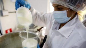 Mleko iz laboratorije: alat u borbi protiv globalnog zagrevanja ili “frankenštajnovska posla”?
