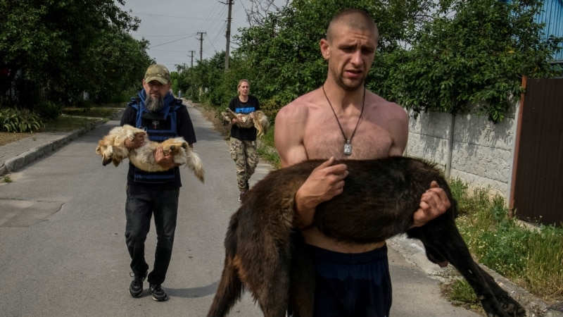 Mokri i iscrpljeni: Ukrajinci spasavaju kućne ljubimce iz poplava