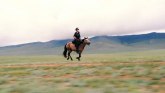 Mongolski derbi - najteža i najžešća trka konja na svetu