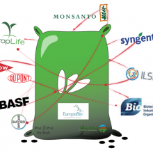Monsanto lobira da prestane procenjivanje rizika GMO testiranjem na zivotinjama