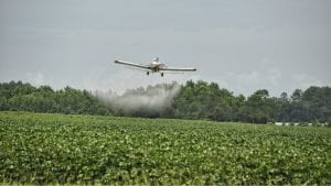 Monsanto u SAD na optuženičkoj klupi zbog spornog herbicida