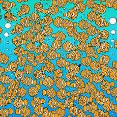 Možete li da pronađete zlatnu ribicu? Većina ljudi ODUSTANE i pogleda rešenje! Imate li OKO SOKOLOVO? (FOTO)