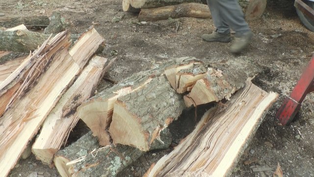 Mrtva sezona za drvoseče: Drva za ogrev sada tri puta jeftinija nego lane