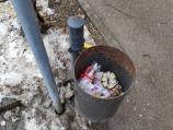Mrtva zmija bačena u kantu za smeće ispred Umetničke škole u Nišu