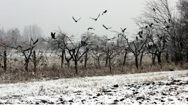 Druga žrtva smrzavanja, ledeni dani u celoj Srbiji
