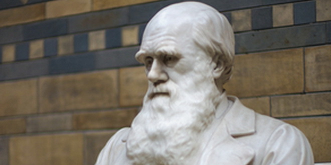 Muzej vrši reviziju Darvinove kolekcije koji mogu biti ocenjeni kao rasno uvredljivi