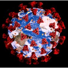 NAJNOVIJE OTKRIĆE NAUČNIKA: Mutirani oblik virusa korona izuzetno zarazan